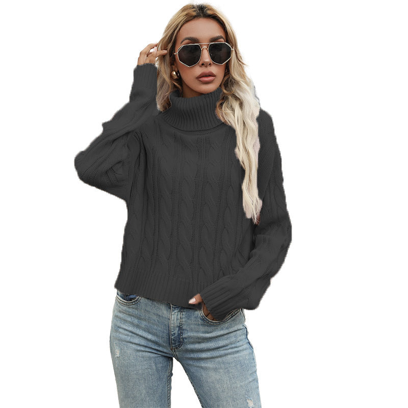 Turtleneck Pullover