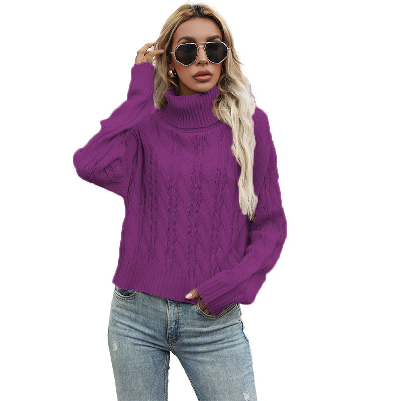 Turtleneck Pullover